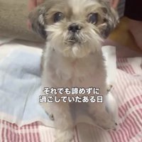 お座りができました！