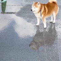 突然凛々しい表情に