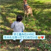 犬と男の子の後ろ姿2