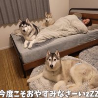 みんなで一夜を過ごす