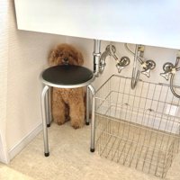 隠れる