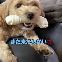「ダメ！」