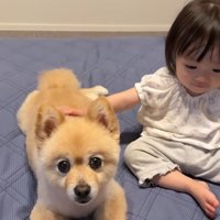 女の子が背中をナデナデ♡