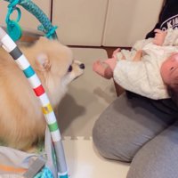 赤ちゃんを連れてきたら…