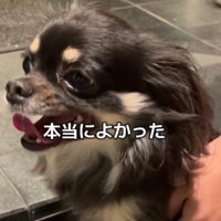 感謝の気持ちでいっぱい