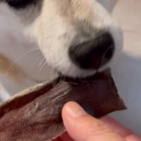 上手にできました！！