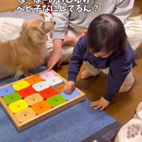 知育玩具で遊ぶレオンくんと赤ちゃん