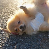 奇跡の1枚でした！