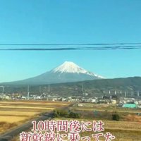 愛犬の死から立ち直れない…