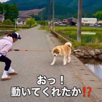 諦めたかと思いきや…