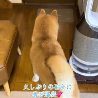 玄関で物音が！！