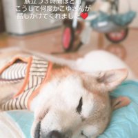 温かな一幕に涙…