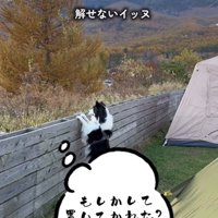 置いていかれたと焦る中型犬
