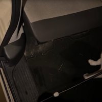 降車を拒否する柴犬