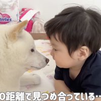 じぃーっ…