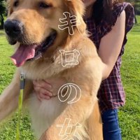 40キロのベイリーちゃん