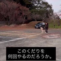 一連の流れを5回ほど…