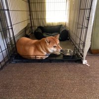 横目でチラ見