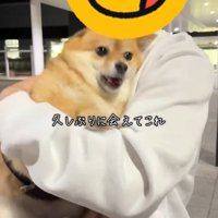 あずきちゃんとママの再会2