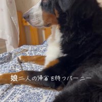 「お姉ちゃんたち、まだかな～」