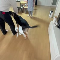 ダッシュで大歓迎♪