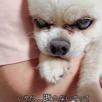 まだまだ一緒にいたい