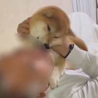 許して