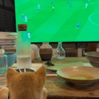 一緒にテレビ鑑賞