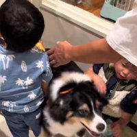 押されちゃったけど…