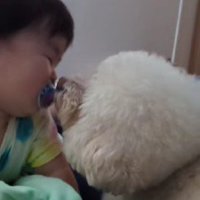 今は弟のお世話もしてるよ