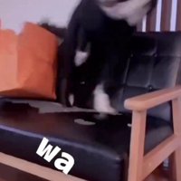 ソファで激しく回転して…