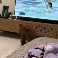 素晴らしい演技をお披露目