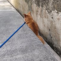 側溝