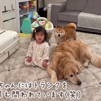 きちんと謝れました♪