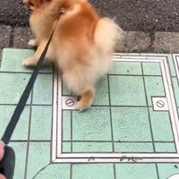 「ここは行かない～！！」