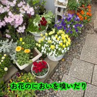 五右衛門くんはお花の匂いをチェック