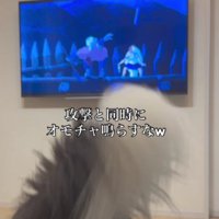 弱そうな効果音に爆笑！