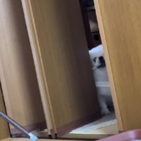 スピードを上げて…