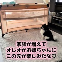 お姉ちゃんになったよ