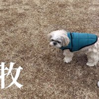 ドッグランに寄ったら…