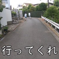 散歩中にお母さんに会った時のワンジローくん⑩