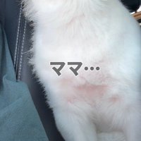 ママが少しだけ買い物へ
