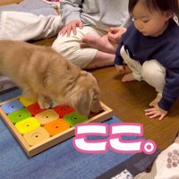 あっさりオヤツをゲット