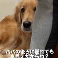 怒られると逃亡！！