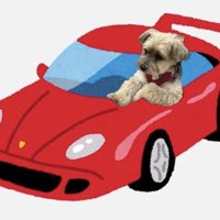 赤いスポーツカーに乗った犬の合成画像