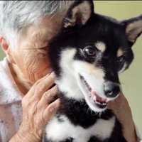 犬を抱きしめる人