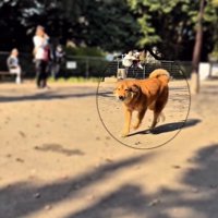 ヒコーキ耳のラッキーくん