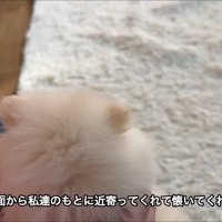 駆け寄ってきてくれた