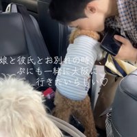 熱烈なチュー