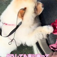 体力の限界が…